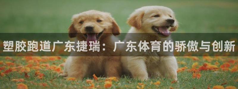 谈球吧的聊天软件是什么:塑胶跑道广东捷瑞:广东体育的骄傲与创